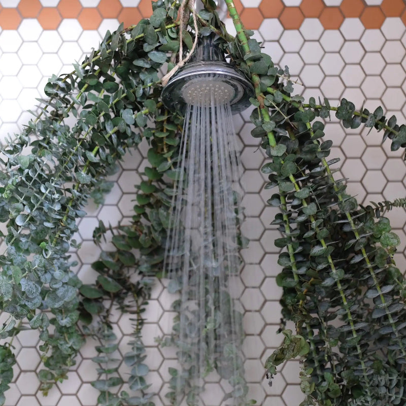 hanging eucalyptus plant Spa Day Spiral Eucalyptus Bunches