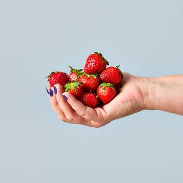 Garden Seed Pop - Strawberry