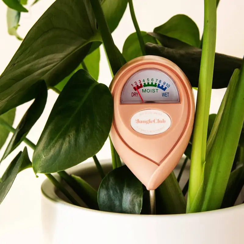 Moisture Meter Pink | Indoor Garden Tool
