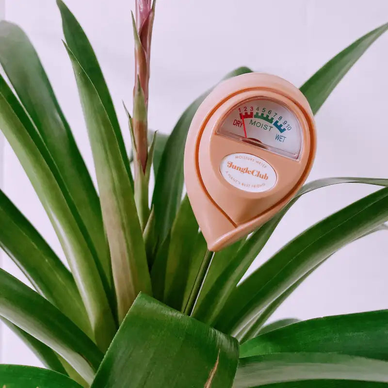 Moisture Meter Pink | Indoor Garden Tool