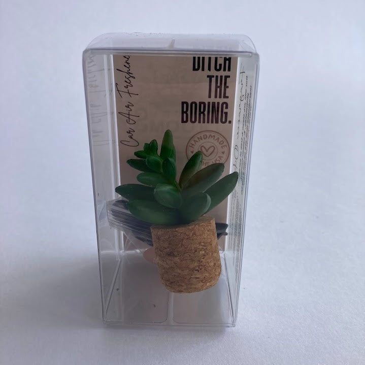 Car Vent Clip Air Freshener Diffuser with cork bottom and succulent top in packaging