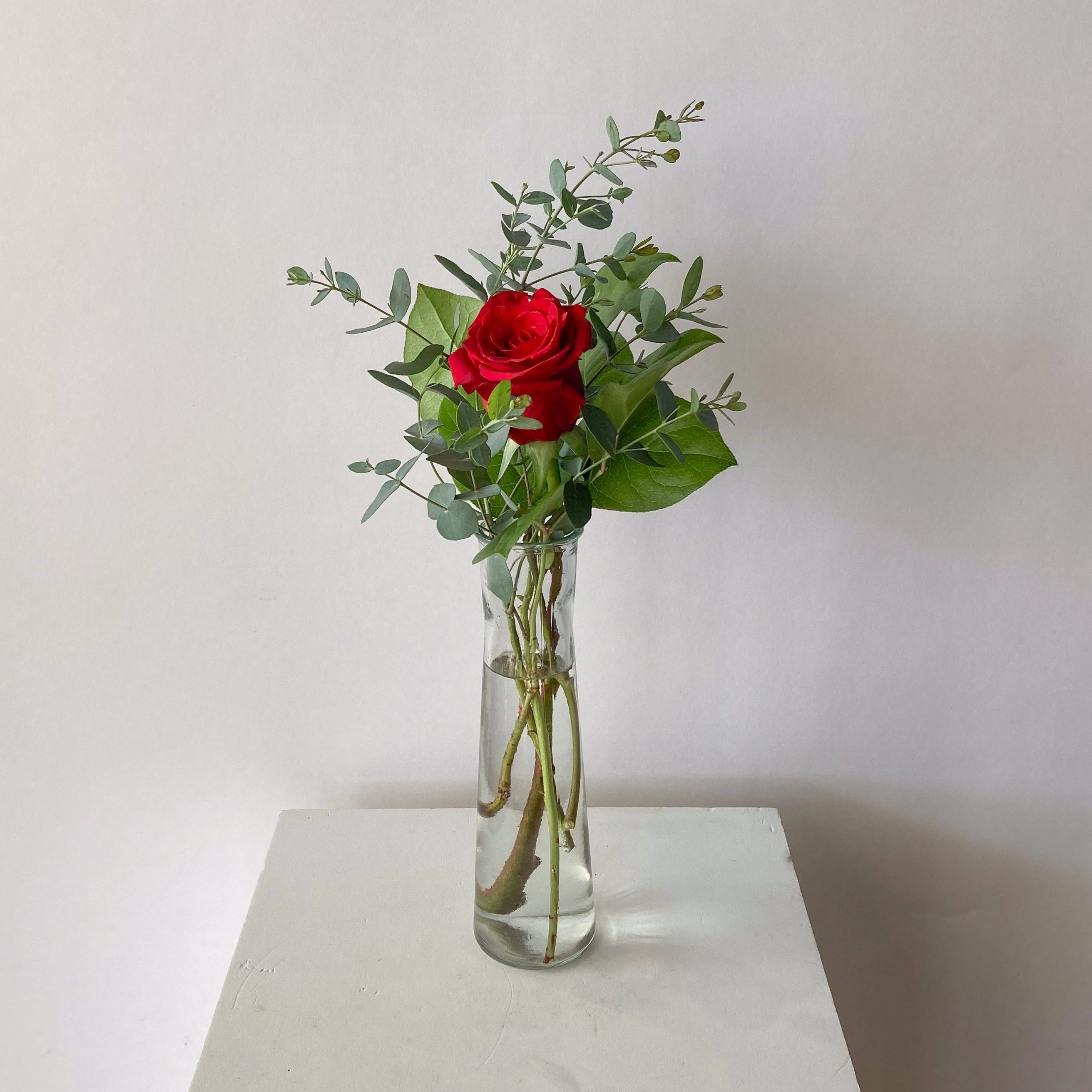 PRE-ORDER Countdown to Valentine's Gift Bundle | Five Days of Gift Delivery