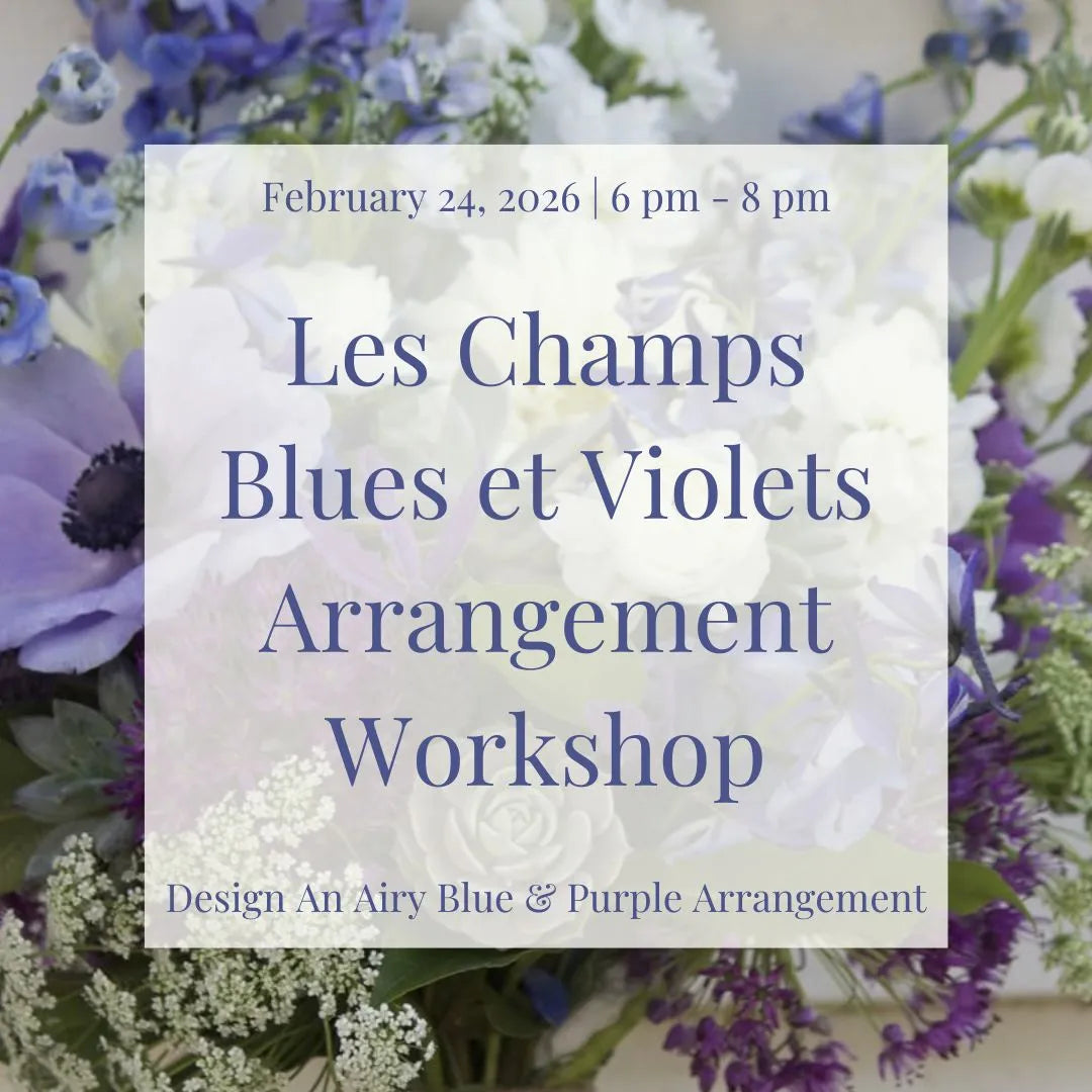 February 24, 2026 | Les Champs Bleus et Violets Arrangement Workshop Ticket