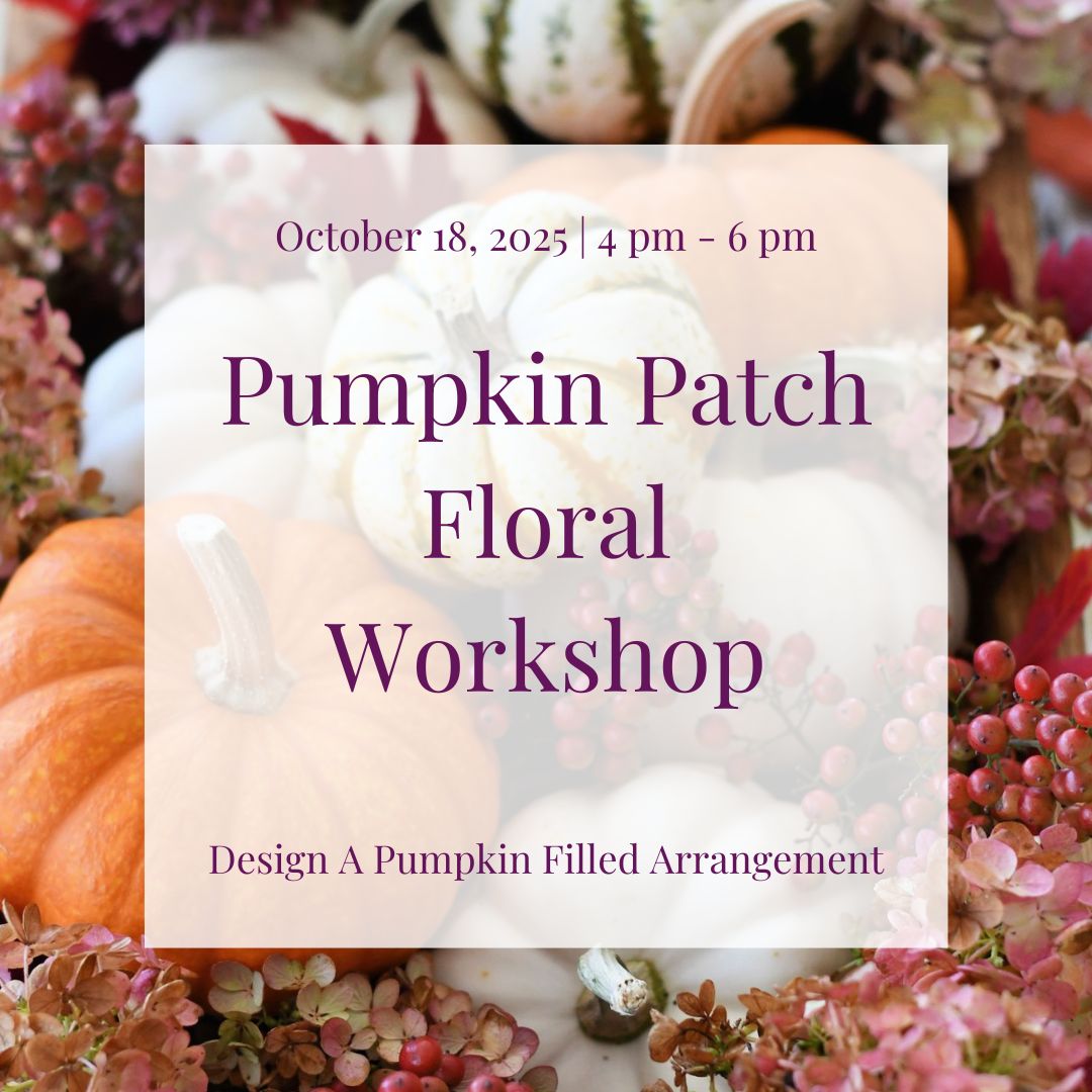 October 18, 2025 | Pumpkin Patch Floral Workshop Ticket