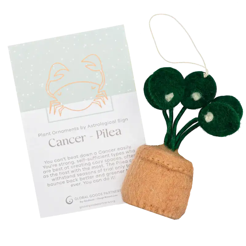 Decorative plant ornament with a card explaining its astrological significance on a white background