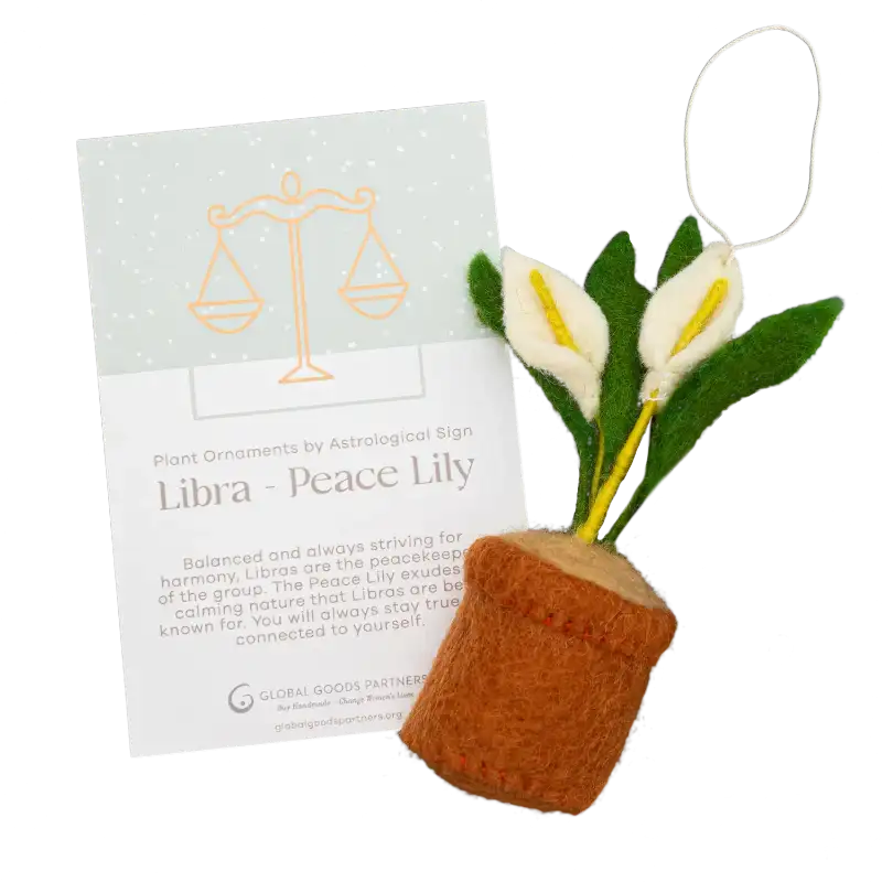 Plant Ornament With Astrology Card | Zodiac Plant Gift