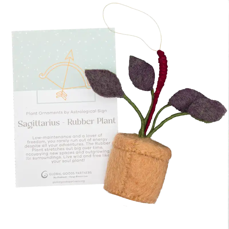 Plant Ornament With Astrology Card | Zodiac Plant Gift