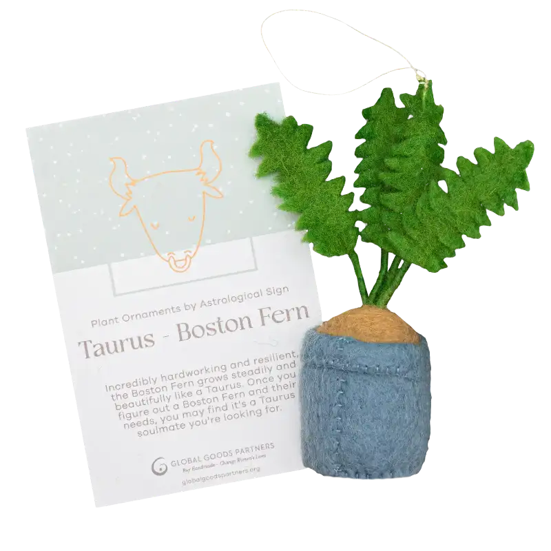 Plant Ornament With Astrology Card | Zodiac Plant Gift