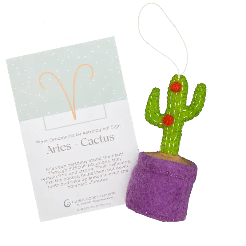 Plant Ornament With Astrology Card | Zodiac Plant Gift