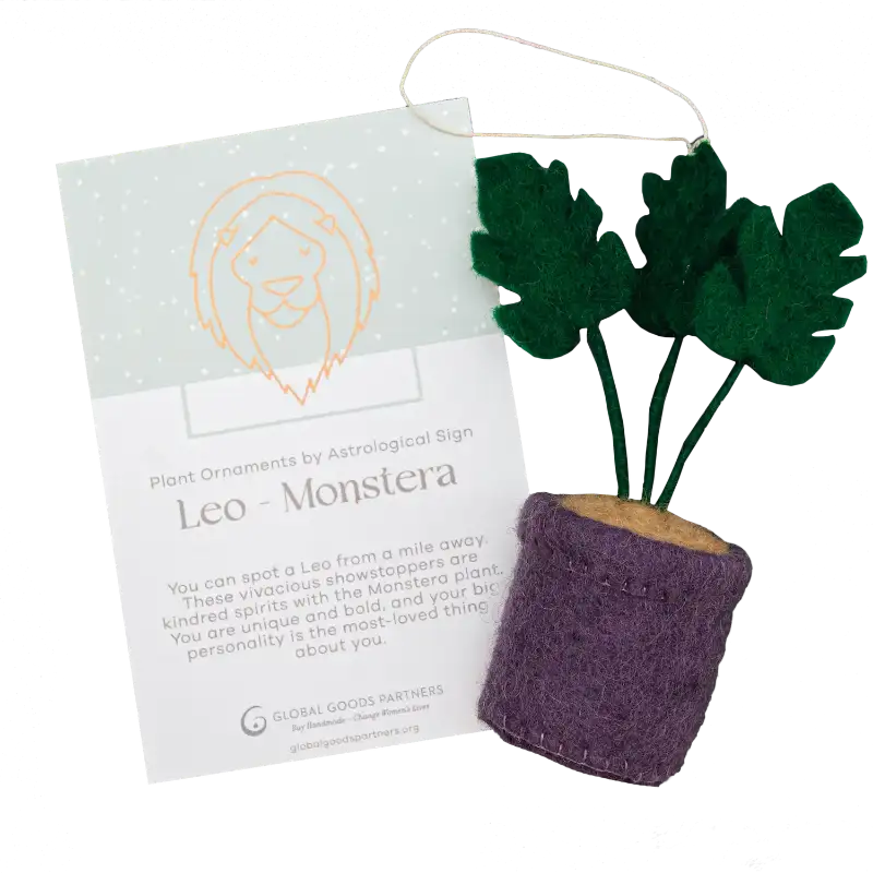 Plant Ornament With Astrology Card | Zodiac Plant Gift