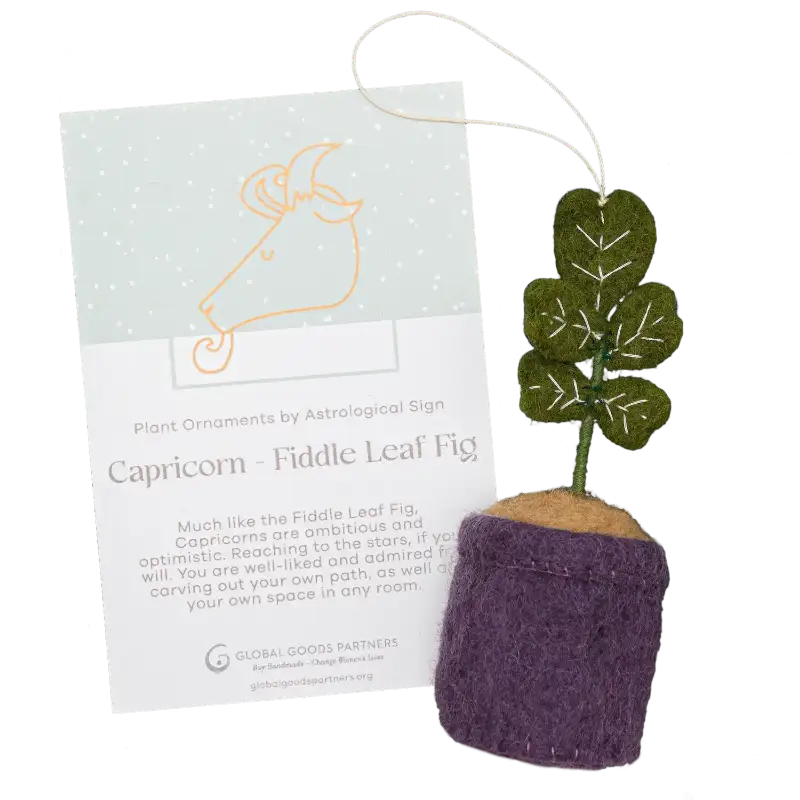 Plant Ornament With Astrology Card | Zodiac Plant Gift