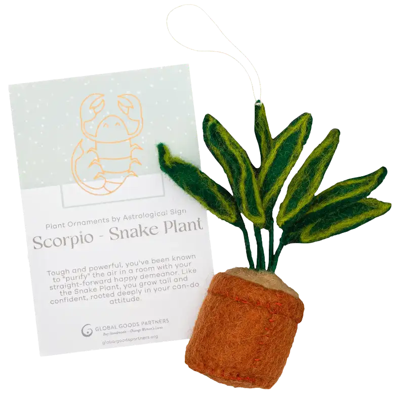 Plant Ornament With Astrology Card | Zodiac Plant Gift