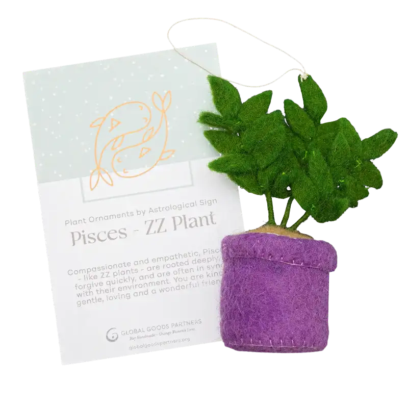 Plant Ornament With Astrology Card | Zodiac Plant Gift