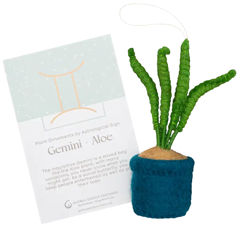 Plant Ornament With Astrology Card | Zodiac Plant Gift