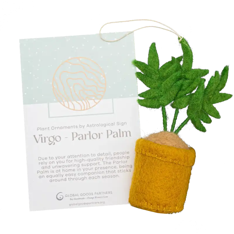 Plant Ornament With Astrology Card | Zodiac Plant Gift