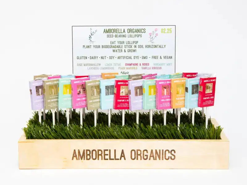 Amborella Organics seed-bearing lollipops in a wooden holder with grass-like material.