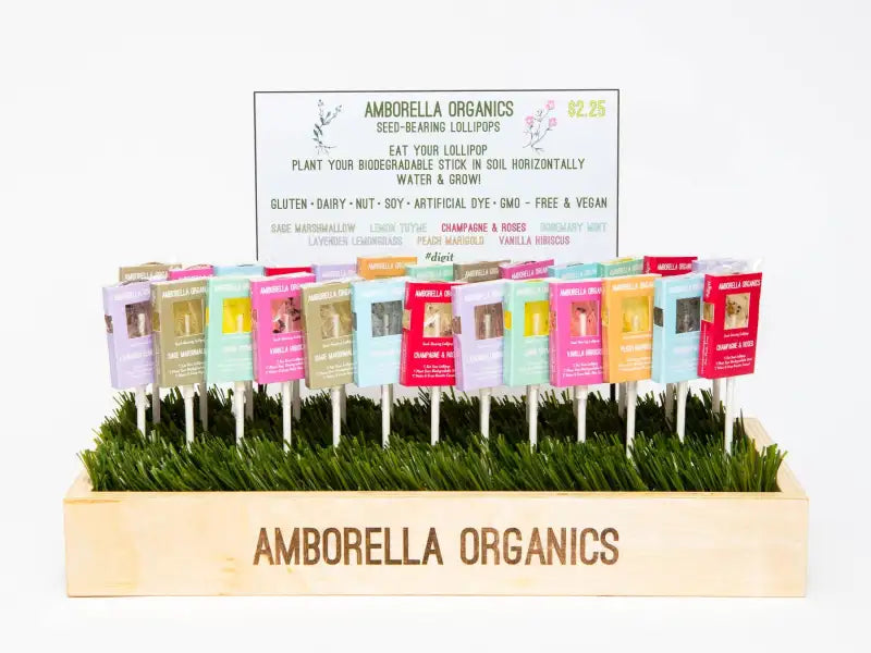 Amborella Organics seed-bearing lollipops displayed in a wooden holder with grass-like material.