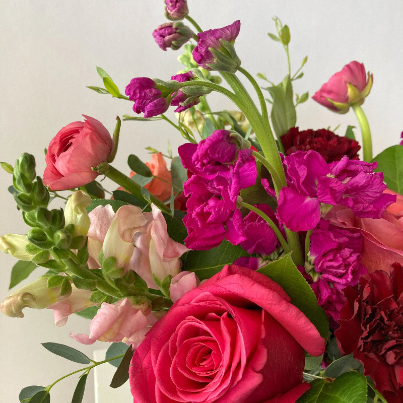 Bouquet of colorful flowers including pink, red, and purple flowers with green leaves on a light background.