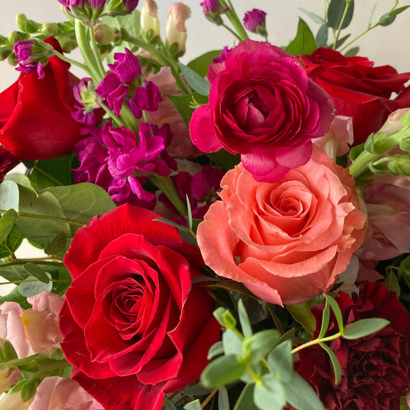 Bouquet of red, pink, and purple flowers with green leaves on a light background