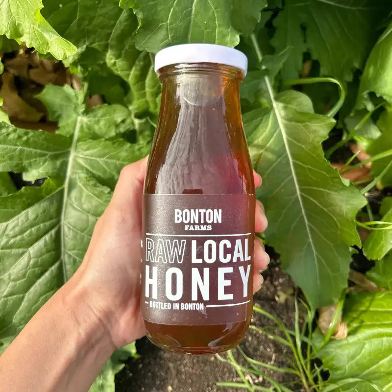 Bottle of Bonton Farms Raw Local Honey held in front of green leaves