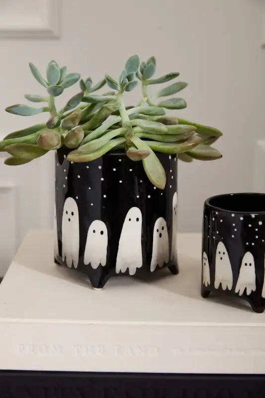 Boo Pot Playful Planter for Plants
