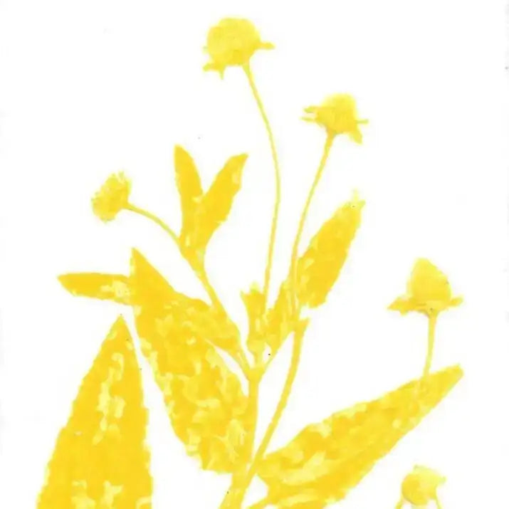 Yellow floral design on a white background