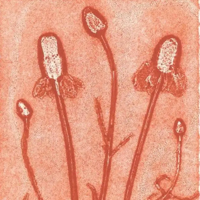 Illustration of flowers on a textured orange background