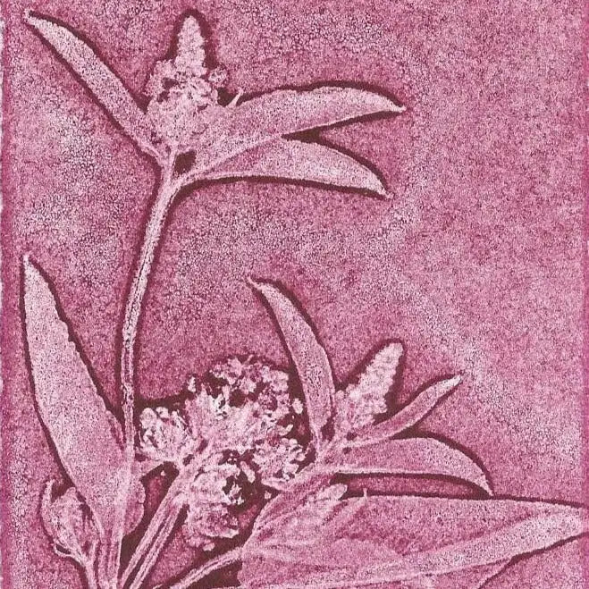 Illustration of a plant with leaves and flowers on a textured pink background