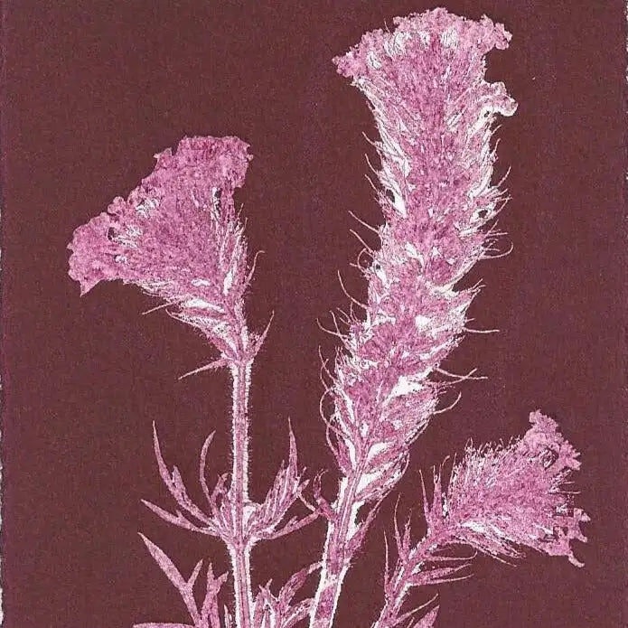 Pink floral illustration on a dark brown background