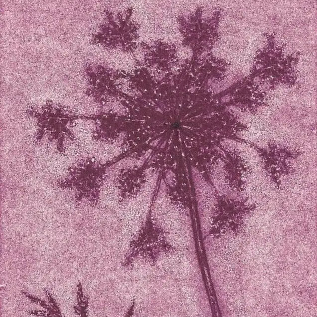 Silhouette of a purple flower against a pink textured background
