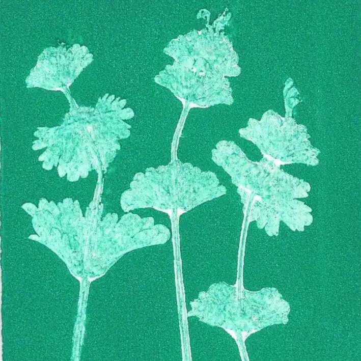 Silhouette of a plant on a green background