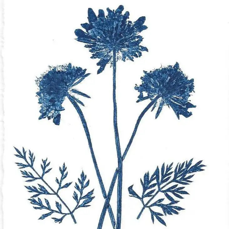 Blue floral design on a white background