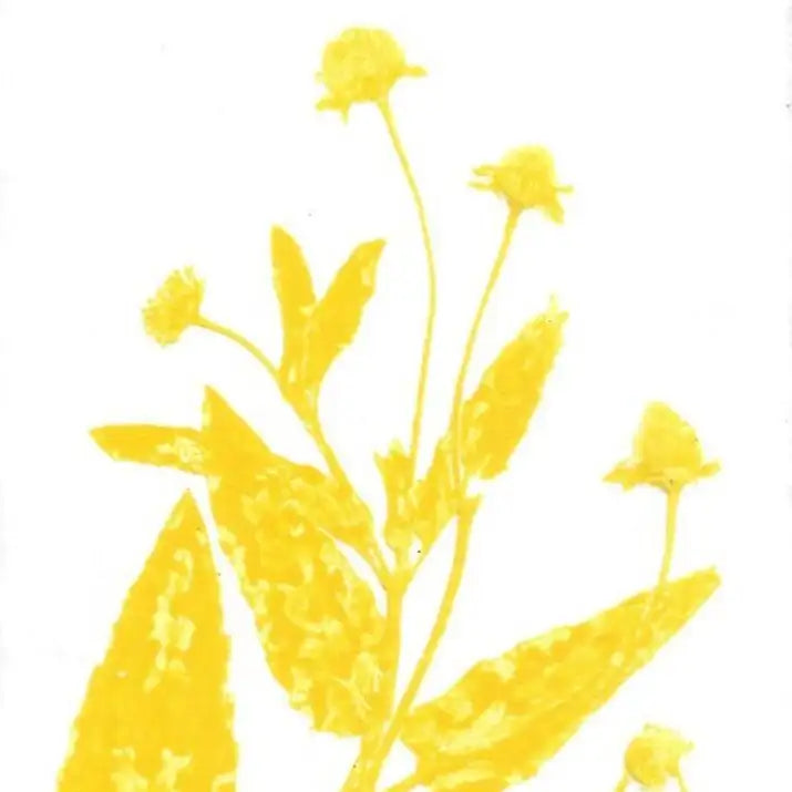 Yellow floral design on a white background