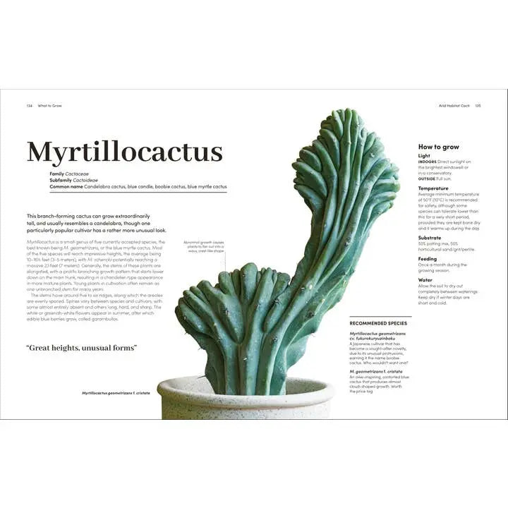 Potted Myrtillocactus plant with text on how to grow it