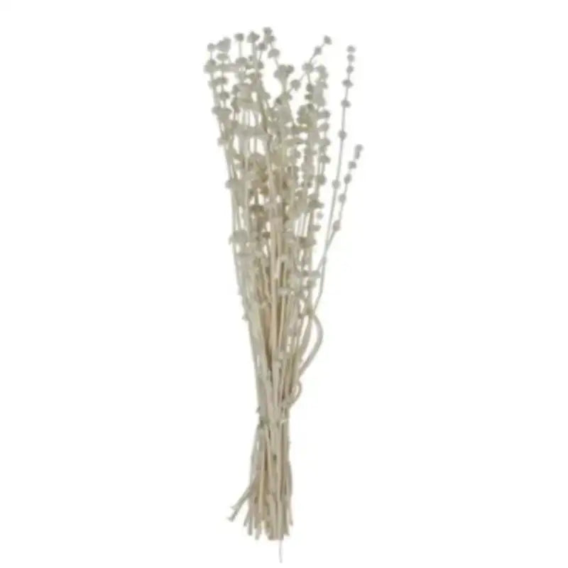 Dried Natural Lion’s Tail Bunch | Decorative Floral Accent