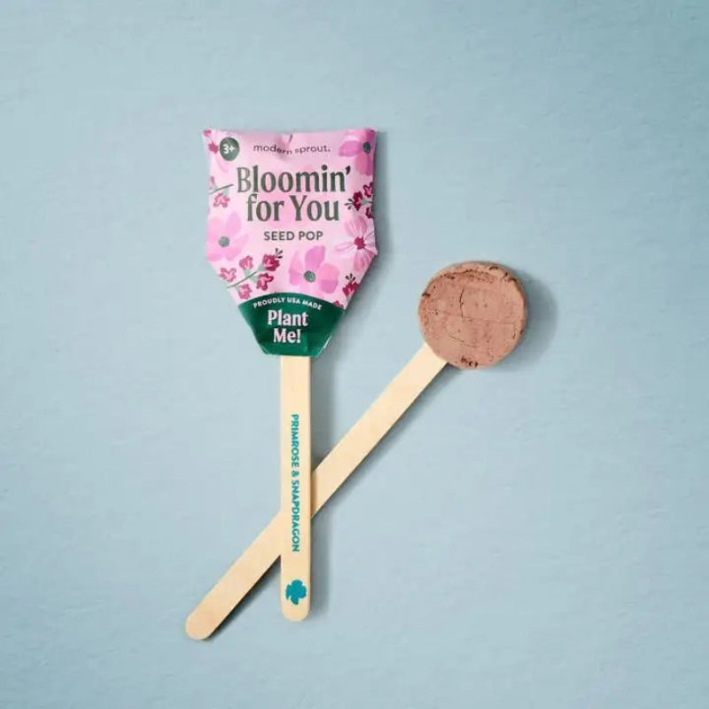 Seed pop packaging with wooden stick on a light blue background
