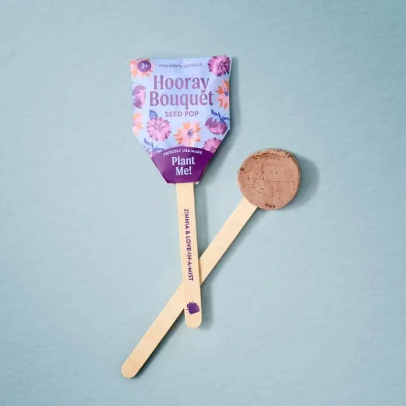 A novelty seed pop toy featuring a purple and floral-shaped scoop with the text 'Hooray Bouquet Seed Pop Plant Me!' and a cork ball inside, shown on a light blue background.