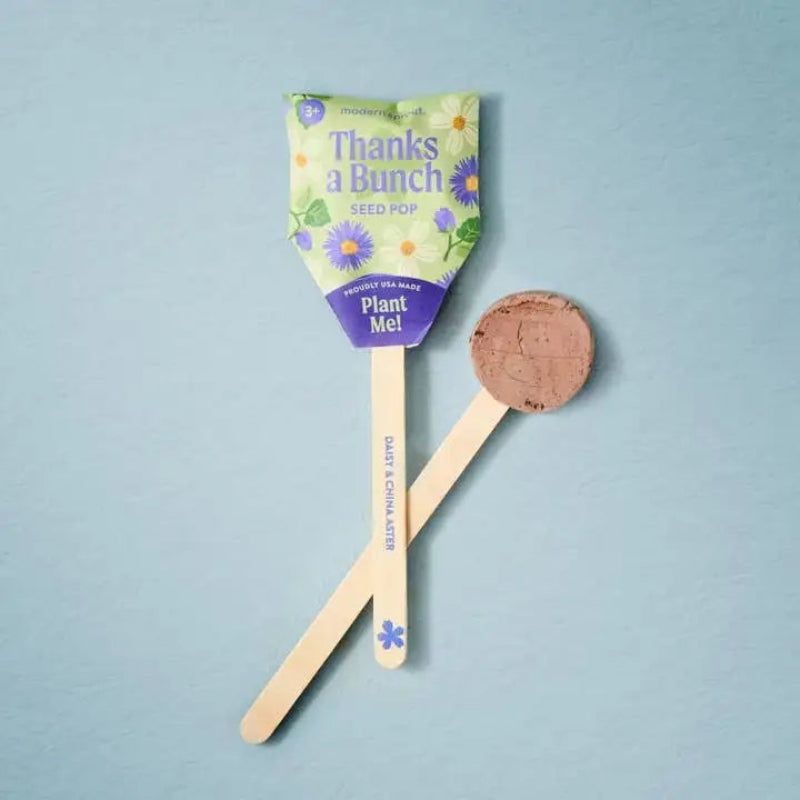 Seed pop with a wooden stick and plantable seed ball on a light blue background
