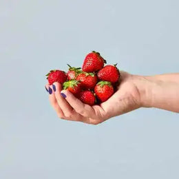 Hand holding strawberries against a light blue background
