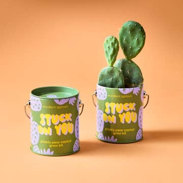Grow Kit Cans | DIY Plant Grow Kits