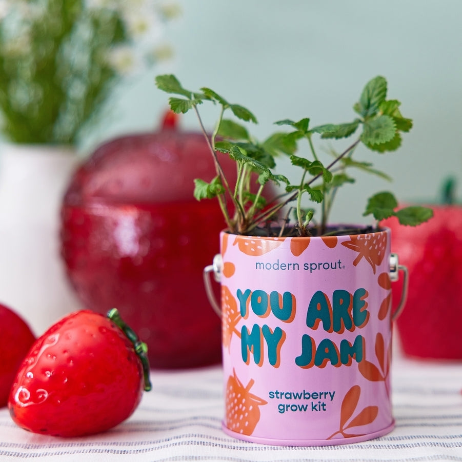 Grow Kit Cans | DIY Plant Grow Kits