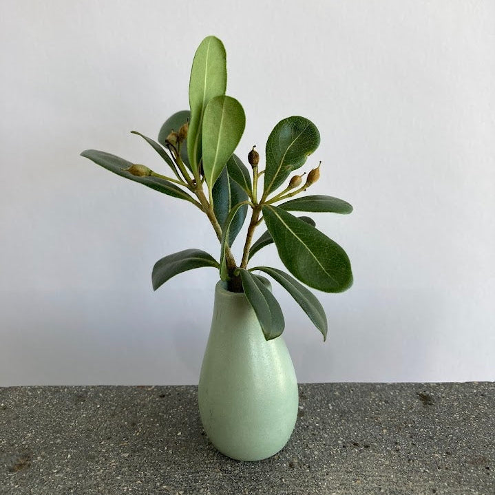 Mini concrete bud vase in sage green with optional magnet attachment