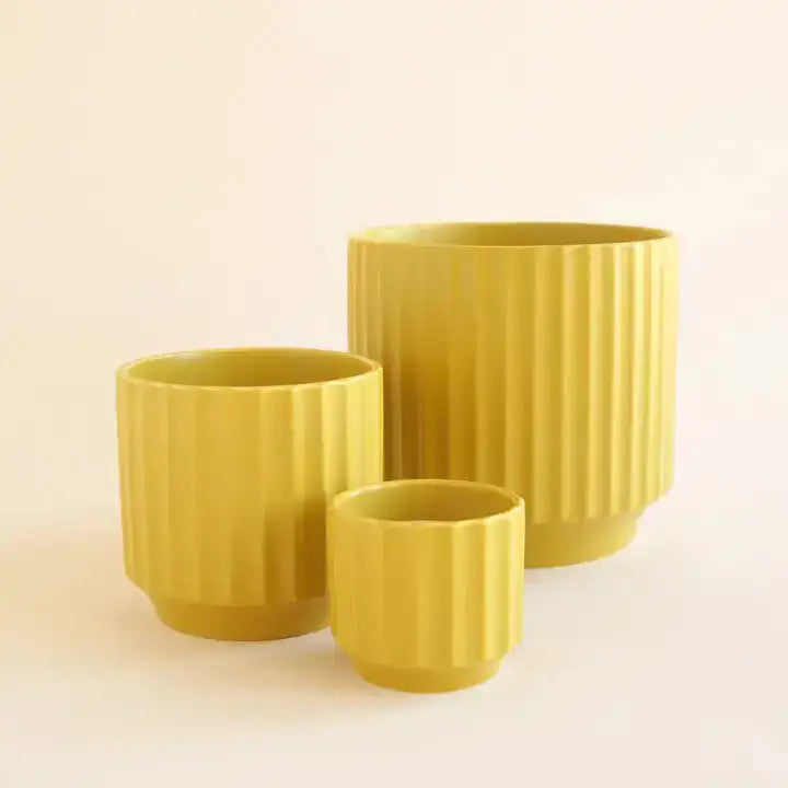 Three yellow ceramic planters of different sizes on a beige background