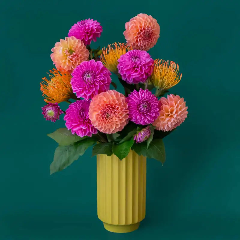 Bouquet of colorful flowers in a palm monroe vase on a teal background
