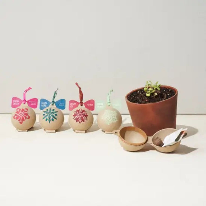 Decorative pots with planters and small bowls on a light background