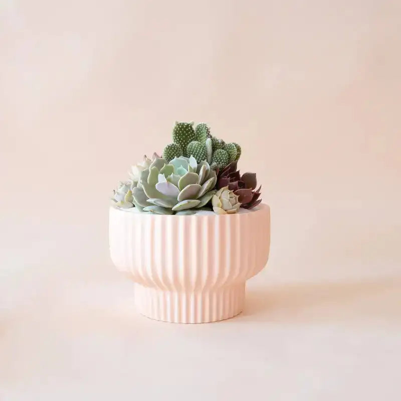Presley Pedestal Pot Ballerina | Decorative Floral Planter