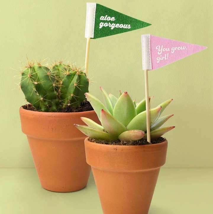 Plant Pennant 5-pack | Plant Lover Gift Set