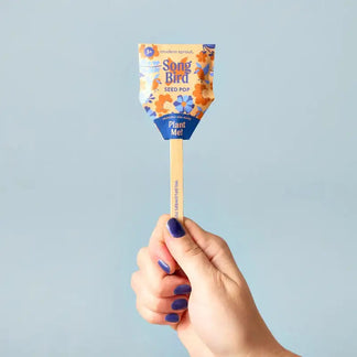 Hand holding a wooden spoon with a colorful 'Song Bird Seed Pop' packaging against a light blue background