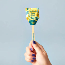 Hand holding a 'Humble Bee Seed Pop' against a light blue background