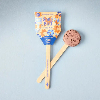 Wooden spoon with cookie-shaped top and 'Song Bird' packaging on a light blue background